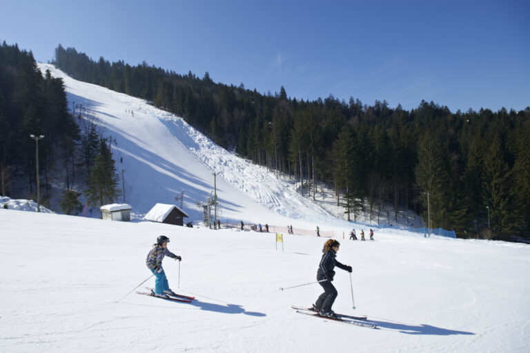 Na put u avanturu Ribniškog Pohorja