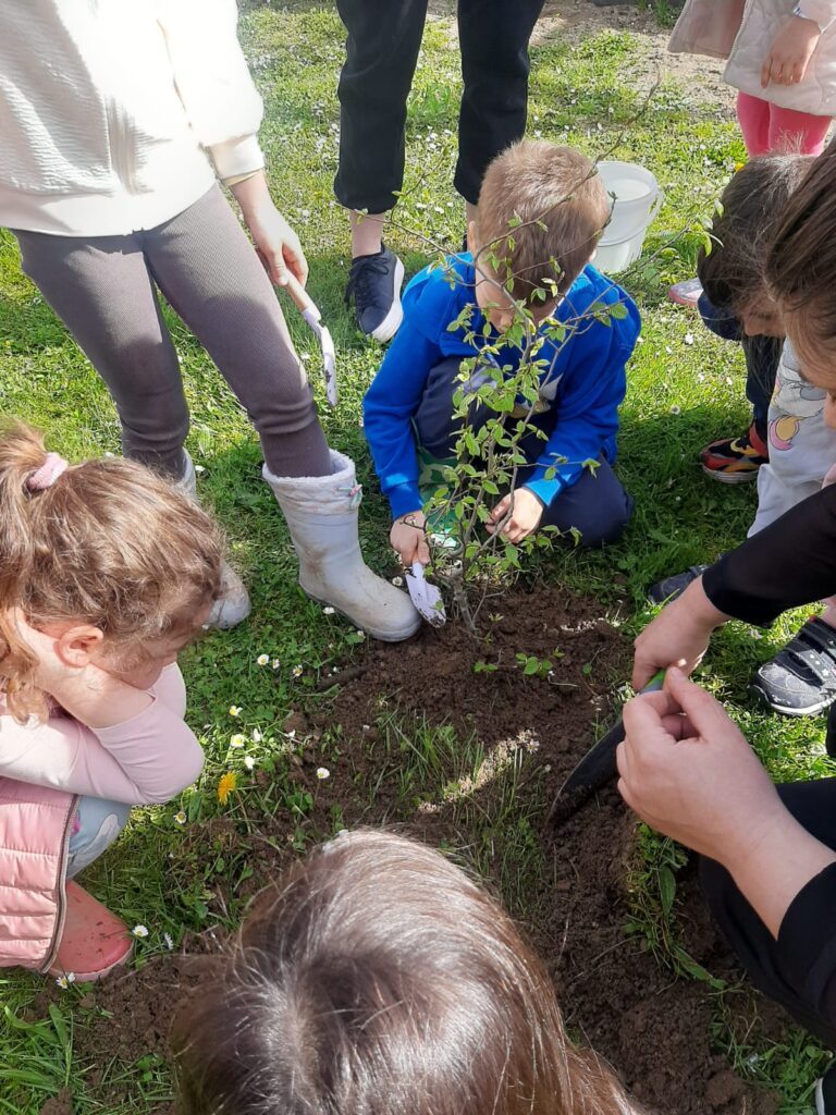 Pčelice u sadnji stabala