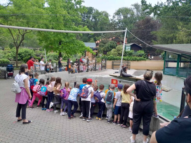 Medvjedić i Suncokreti na izletu u Zagrebu